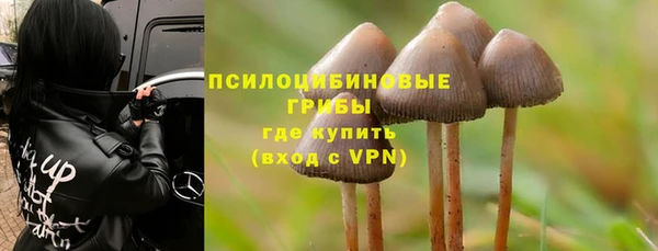 а пвп мука Костерёво