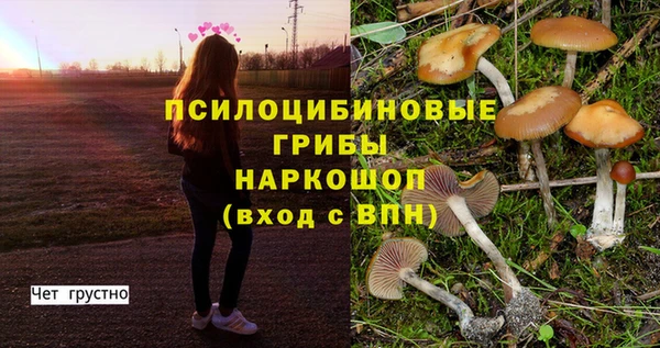 а пвп мука Костерёво