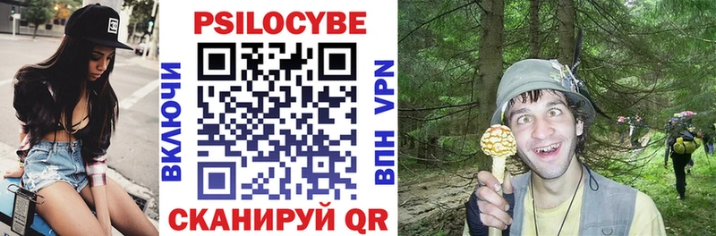 закладки  Екатеринбург  кракен tor  Псилоцибиновые грибы мухоморы 