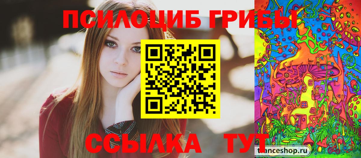 Галлюциногенные грибы Psilocybe Екатеринбург