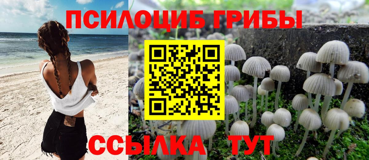 Галлюциногенные грибы MAGIC MUSHROOMS Екатеринбург