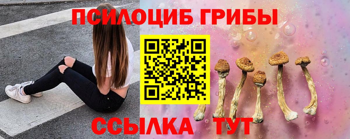 COCAIN  MDMA  НБОМе  Метадон  Екатеринбург  A-PVP СОЛЬ   Бошки Шишки  ГАШ  Мефедрон  