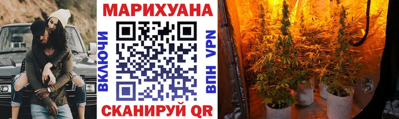 Каннабис сатива Екатеринбург
